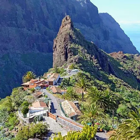 Buenavistera *