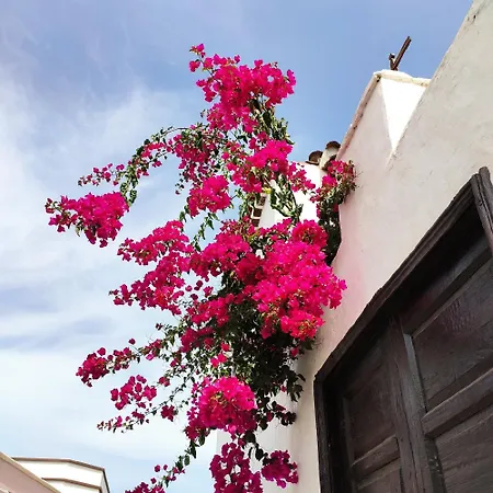 La Buenavistera 1 Lägenhet Buenavista Del Norte