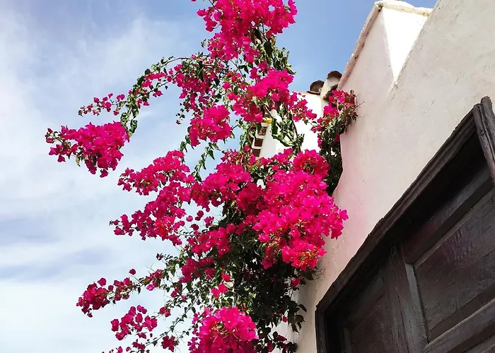 La Buenavistera 1 Lägenhet Buenavista Del Norte